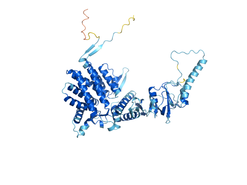 AlphaFold predicted structure of TCP1