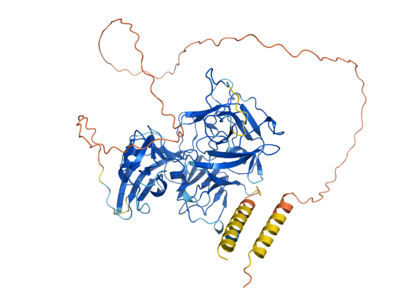 AlphaFold predicted structure of BAR1