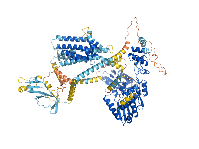 AlphaFold predicted structure of HMG1