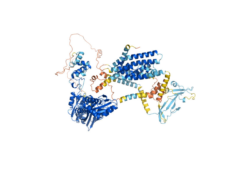 AlphaFold predicted structure of HMG2