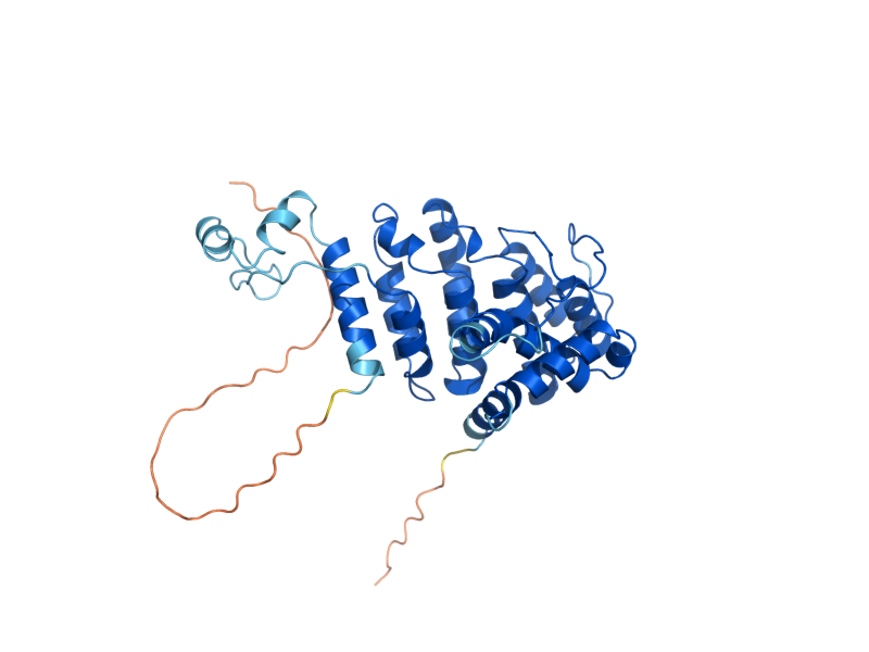 AlphaFold predicted structure of MRP13