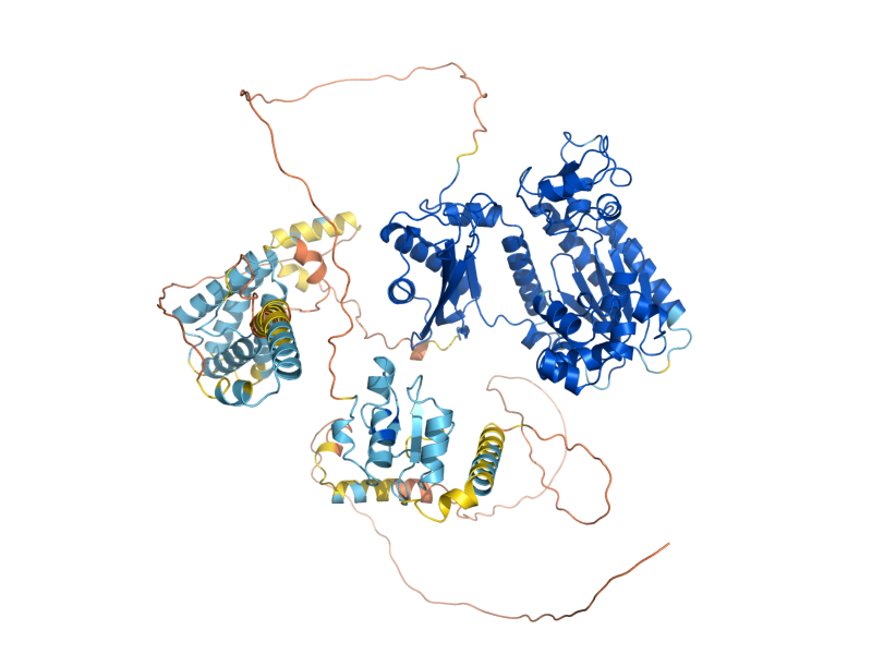 AlphaFold predicted structure of REV1