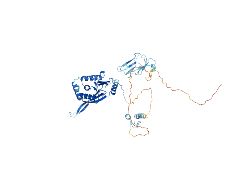 AlphaFold predicted structure of LAT1