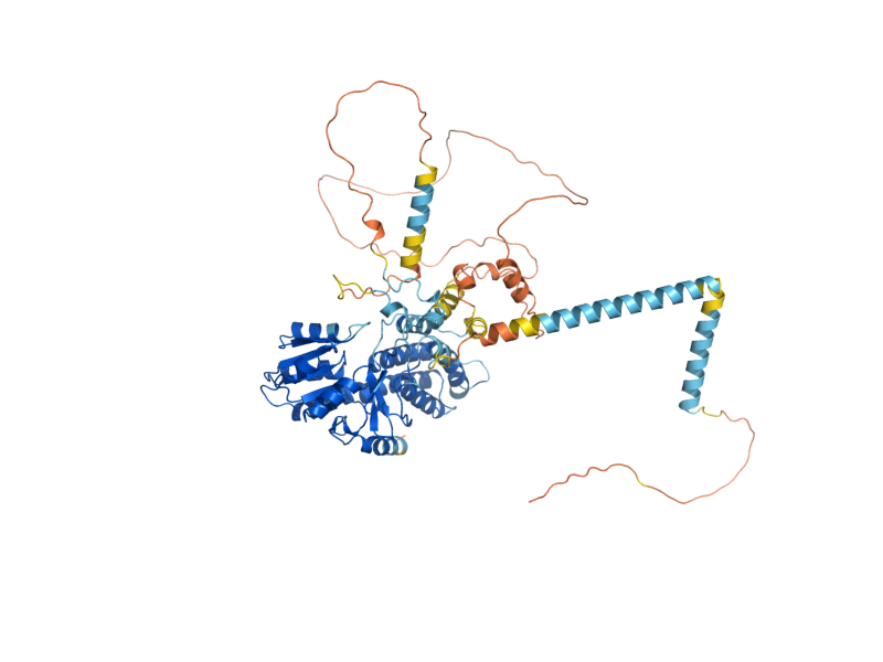 AlphaFold predicted structure of GCD2
