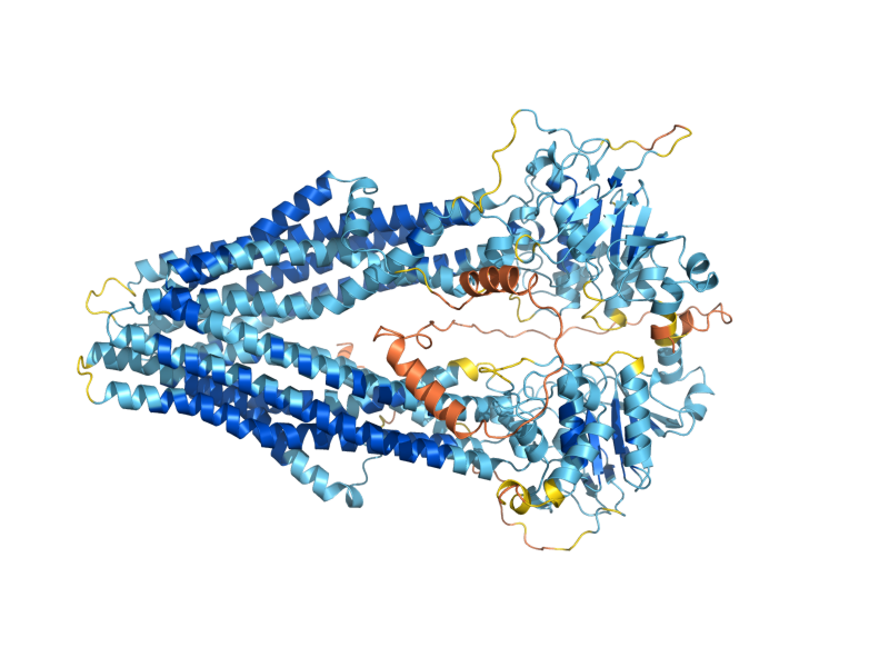 AlphaFold predicted structure of STE6