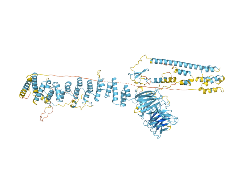 AlphaFold predicted structure of PEP5