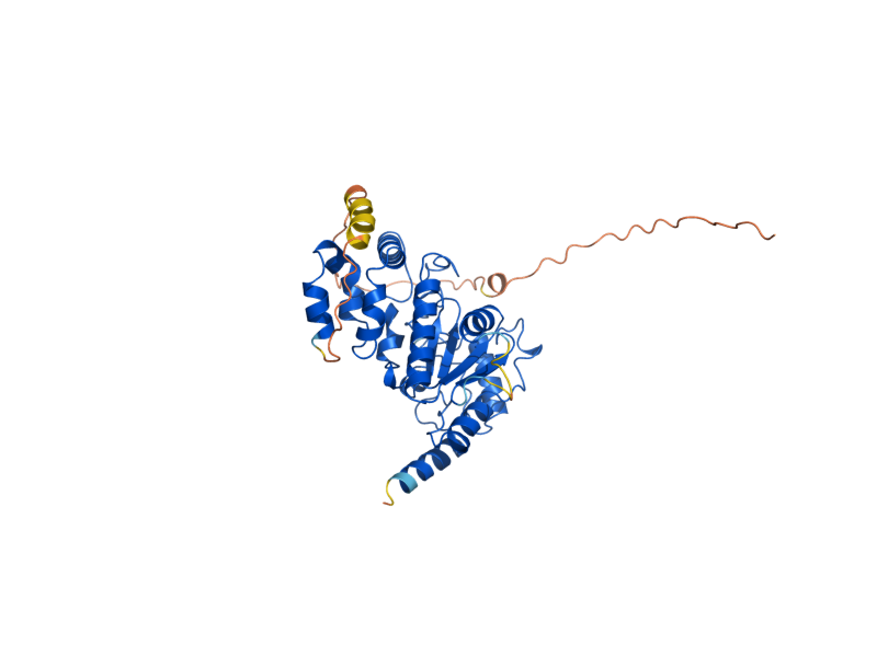 AlphaFold predicted structure of UNG1