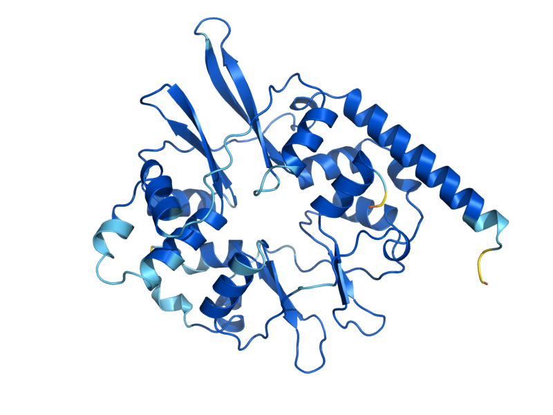 AlphaFold predicted structure of SNF4