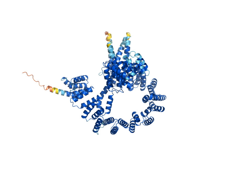 AlphaFold predicted structure of NAT1