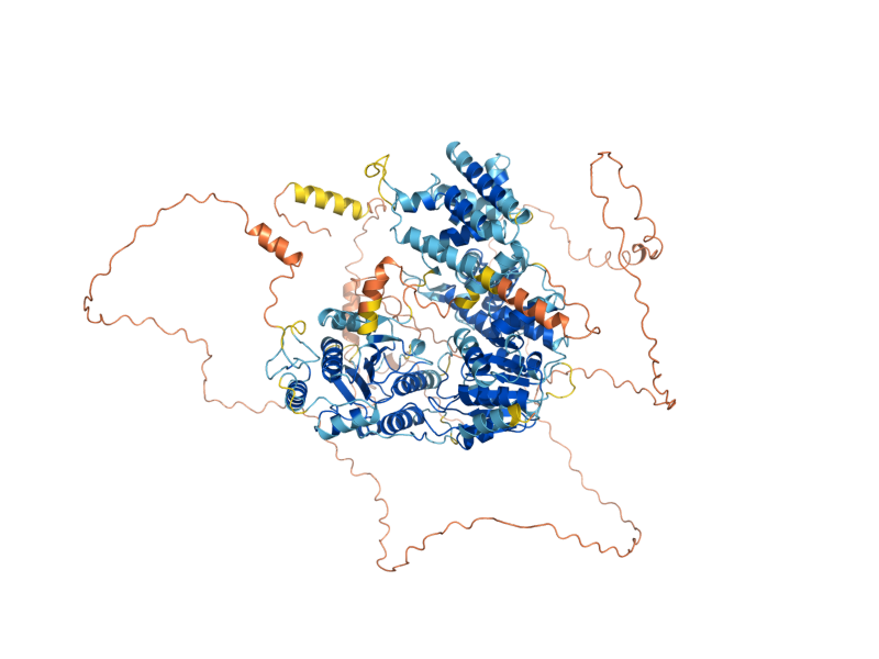 AlphaFold predicted structure of SRS2