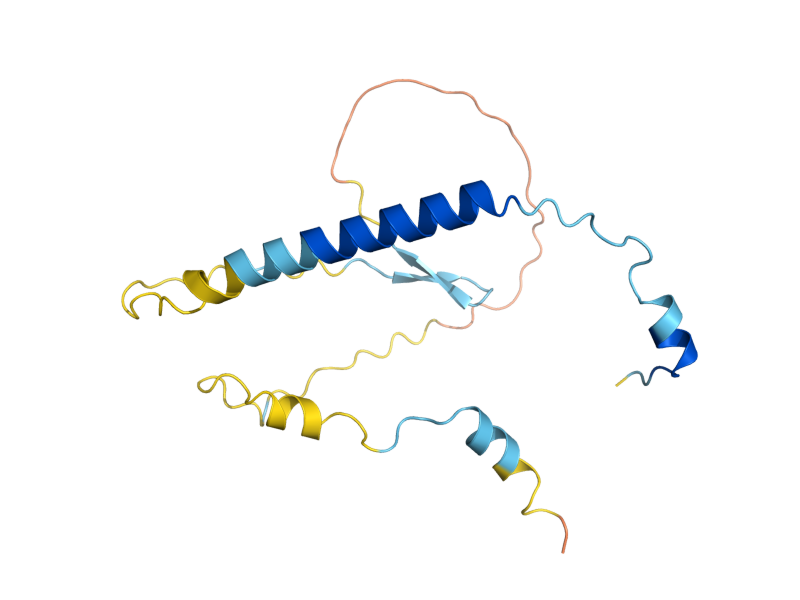 AlphaFold predicted structure of CAF20