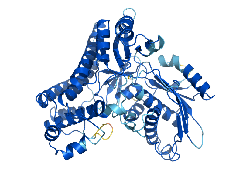 AlphaFold predicted structure of GAL3
