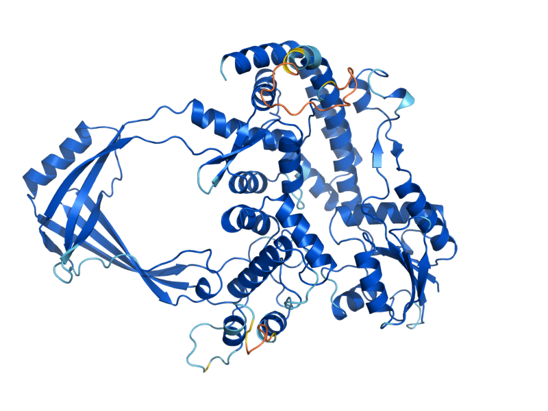 AlphaFold predicted structure of TOP3