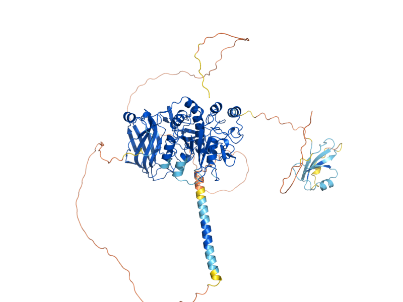 AlphaFold predicted structure of KEX2