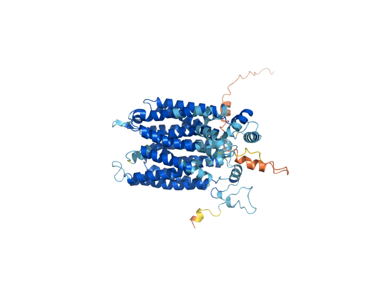 AlphaFold predicted structure of GAL2