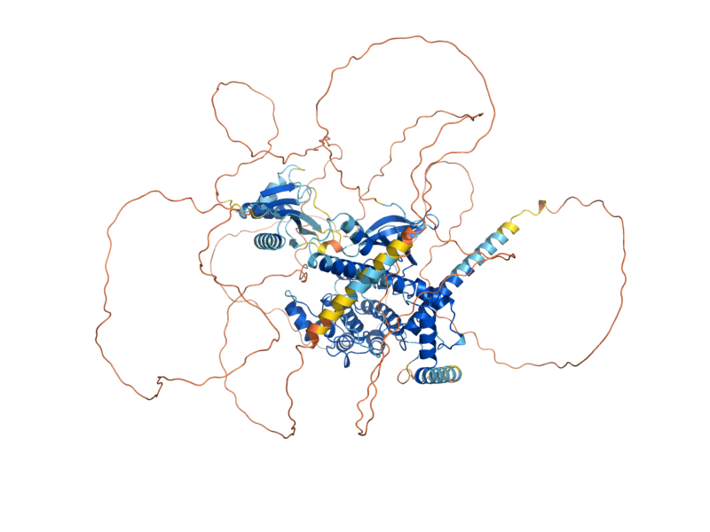 AlphaFold predicted structure of KIN1