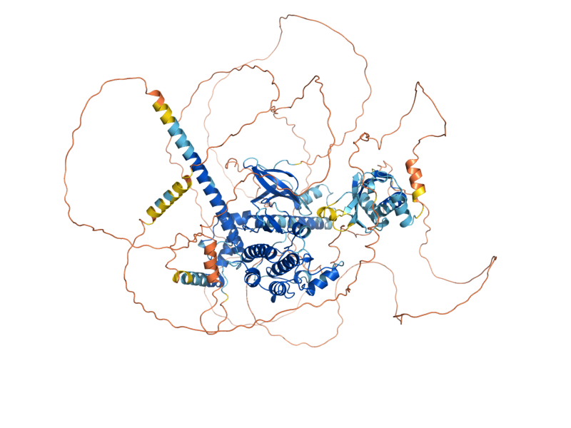 AlphaFold predicted structure of KIN2