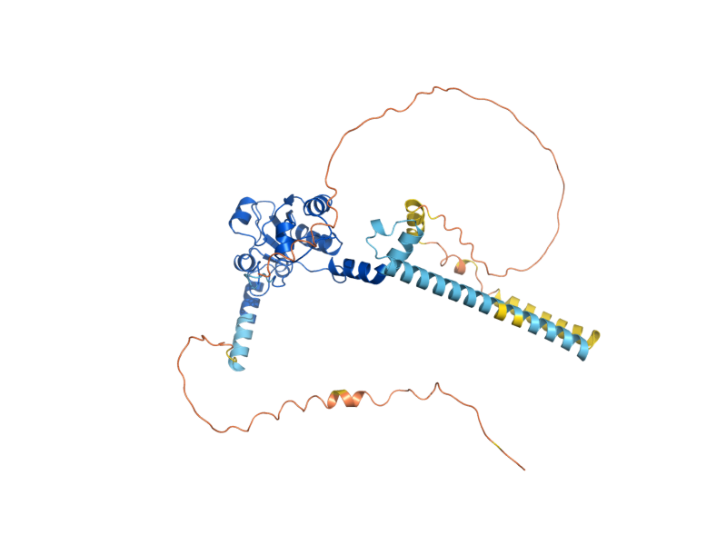 AlphaFold predicted structure of PCT1