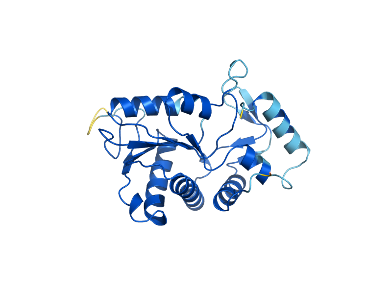 AlphaFold predicted structure of URA5