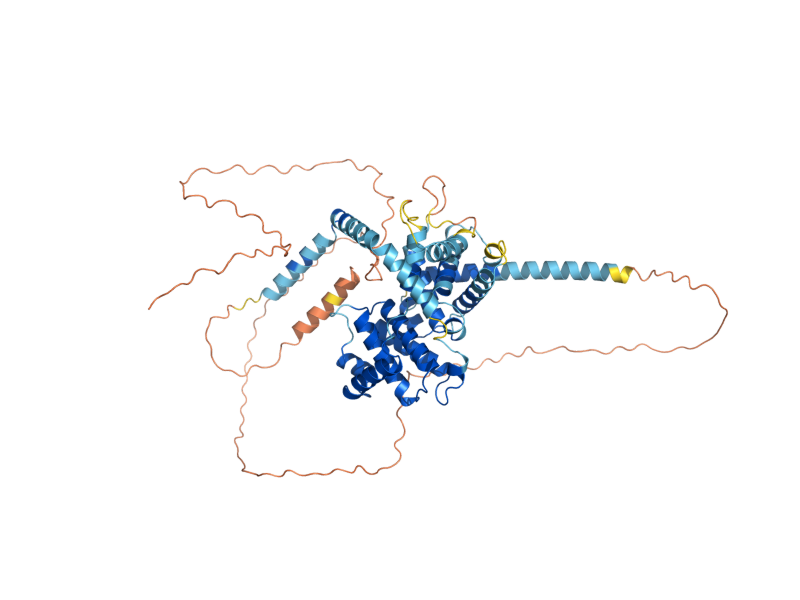 AlphaFold predicted structure of CLN3