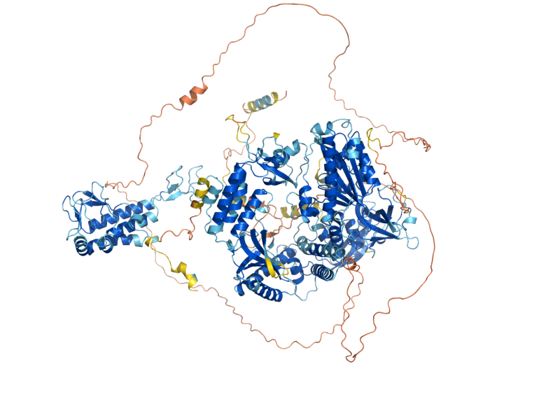 AlphaFold predicted structure of POL1