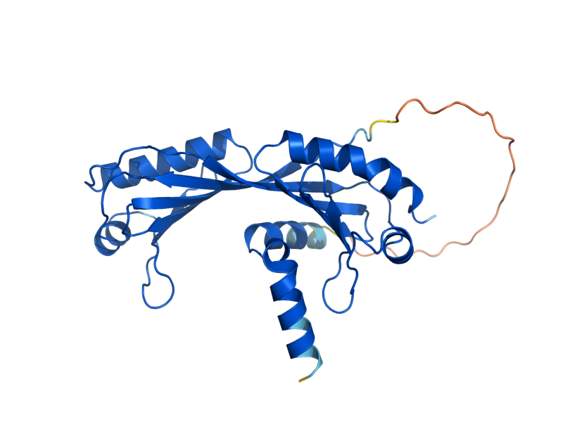 AlphaFold predicted structure of SPT15