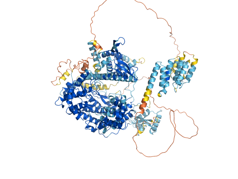 AlphaFold predicted structure of RPO41
