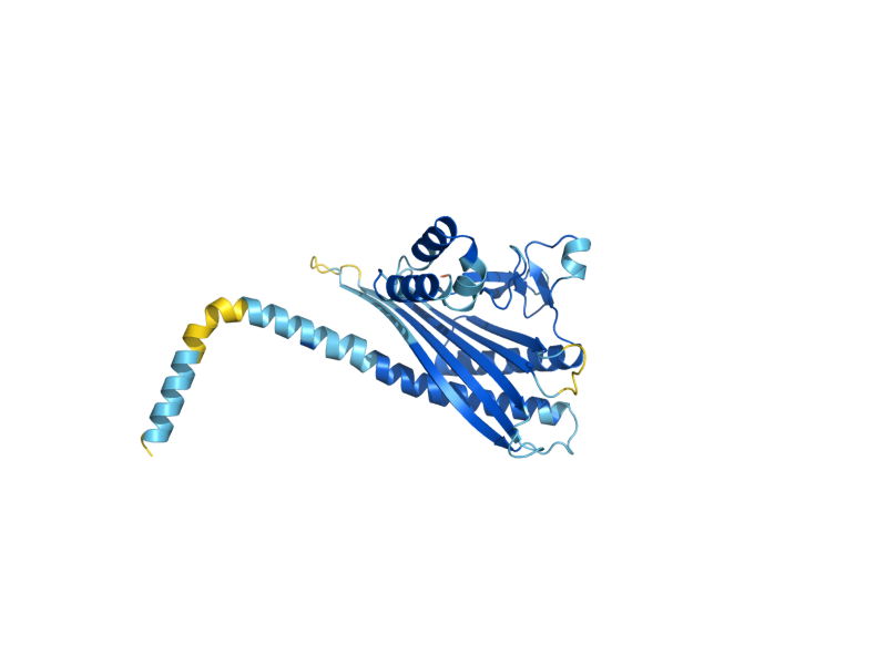 AlphaFold predicted structure of CAP2