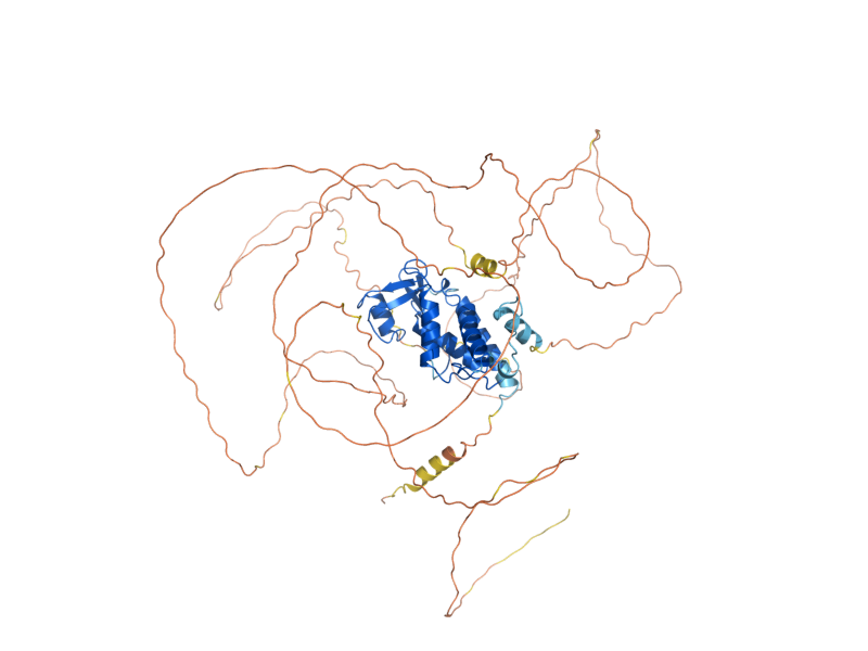 AlphaFold predicted structure of STE12