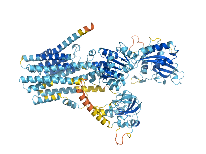 AlphaFold predicted structure of PMR1