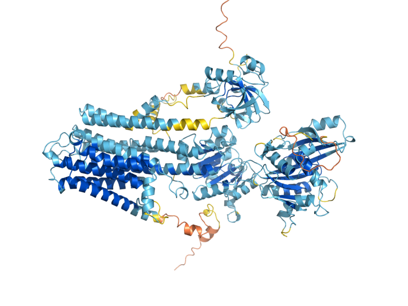 AlphaFold predicted structure of ENA1
