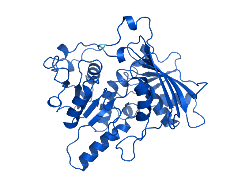 AlphaFold predicted structure of HOM2