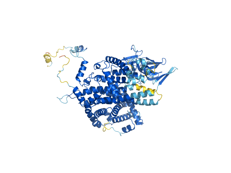 AlphaFold predicted structure of POX1