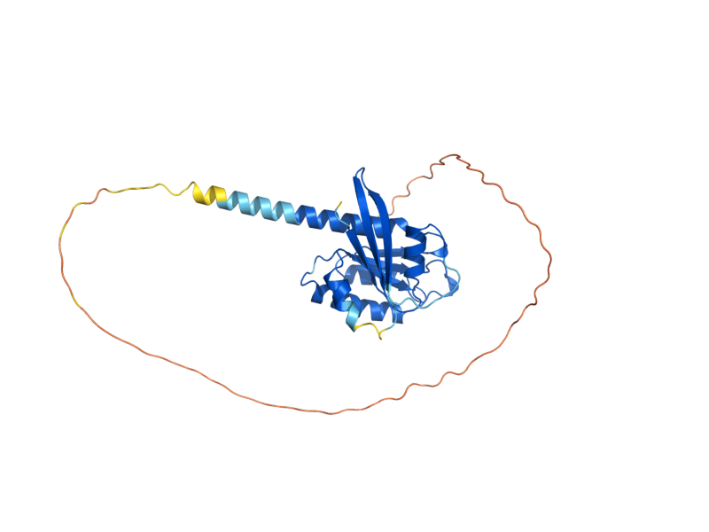 AlphaFold predicted structure of RSR1