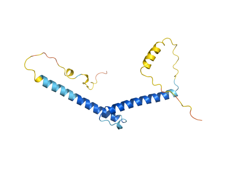 AlphaFold predicted structure of INO4