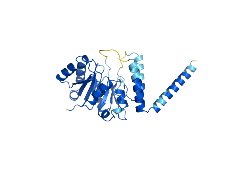 AlphaFold predicted structure of DPM1