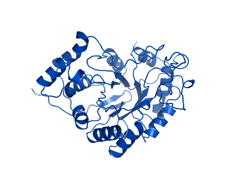 AlphaFold predicted structure of GCY1