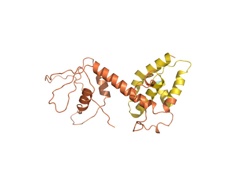 AlphaFold predicted structure of CBS1