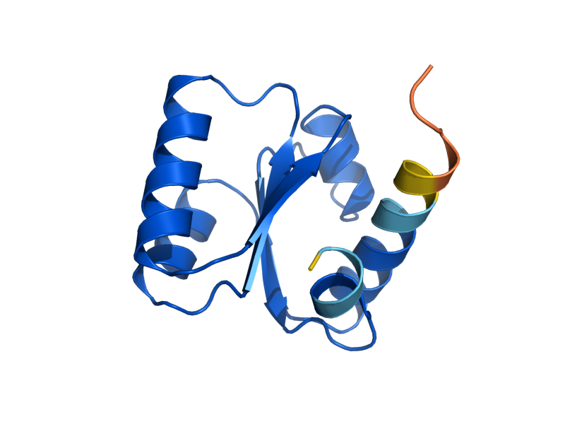 AlphaFold predicted structure of RPL30