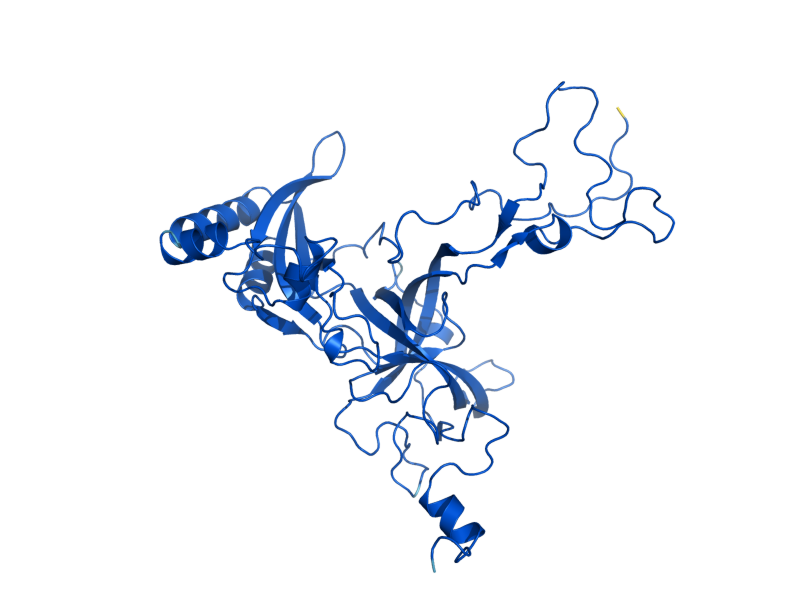 AlphaFold predicted structure of RPL3