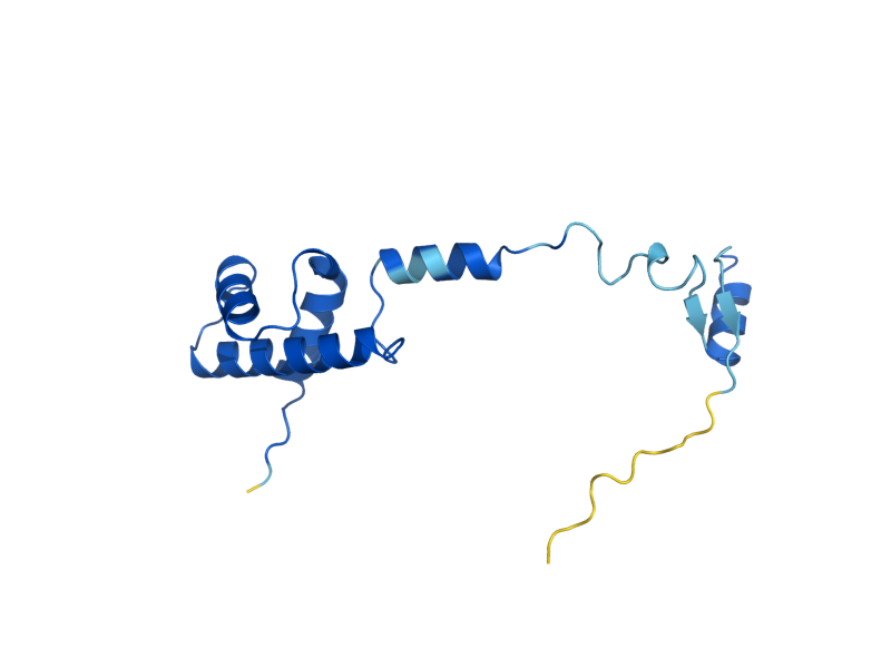 AlphaFold predicted structure of RPS17B