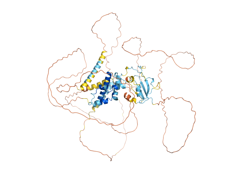 AlphaFold predicted structure of ABF1