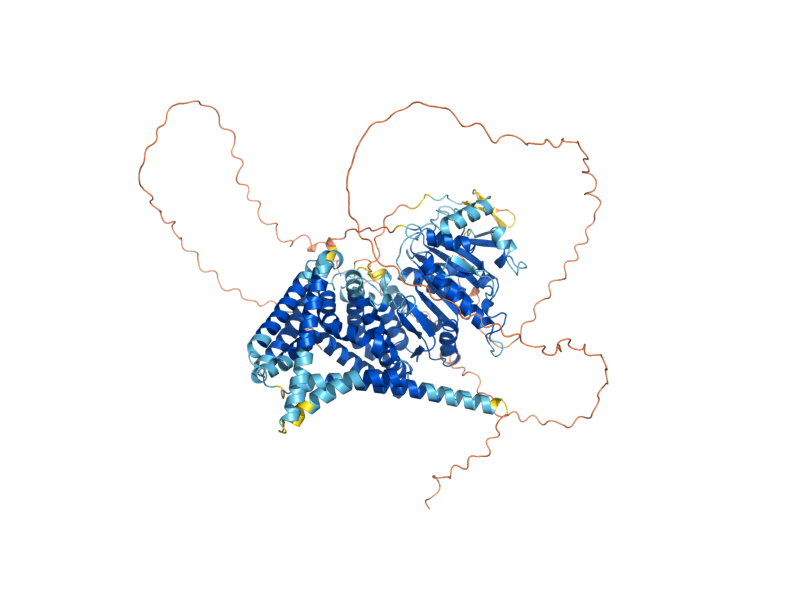 AlphaFold predicted structure of CHS2