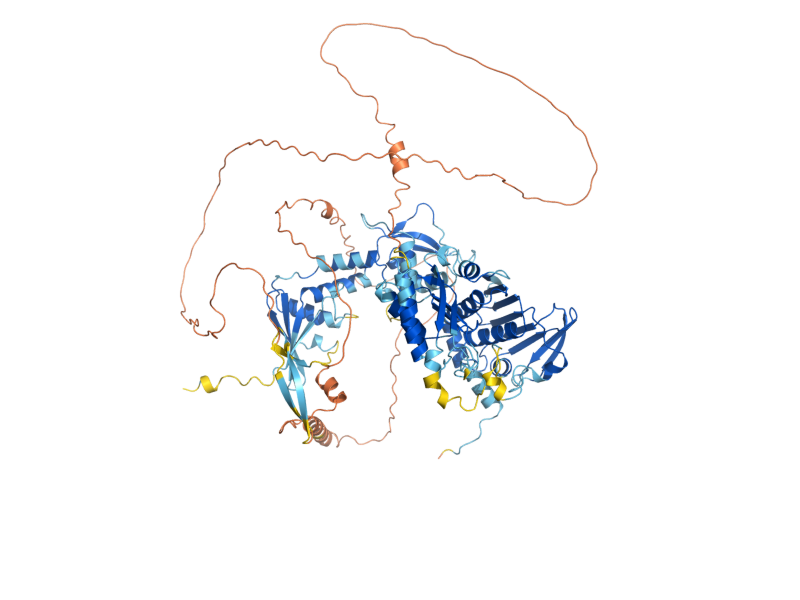 AlphaFold predicted structure of PMS1