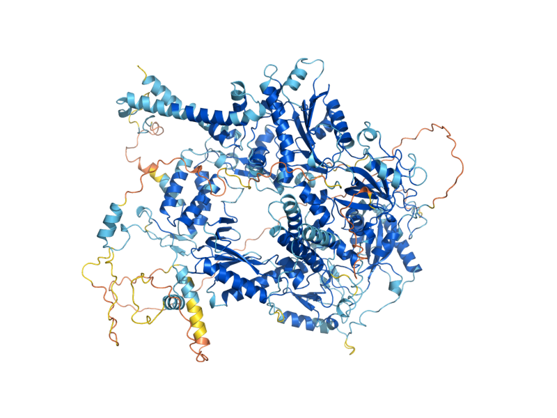 AlphaFold predicted structure of REV3
