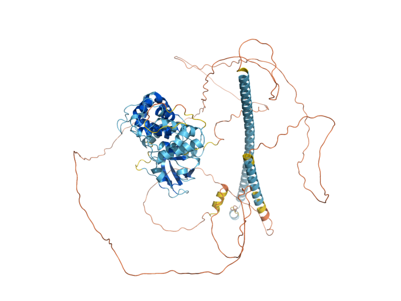 AlphaFold predicted structure of RED1
