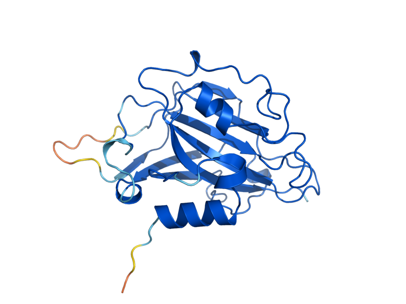AlphaFold predicted structure of TFS1