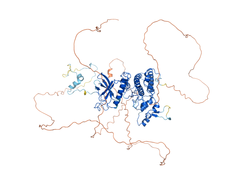 AlphaFold predicted structure of YAK1