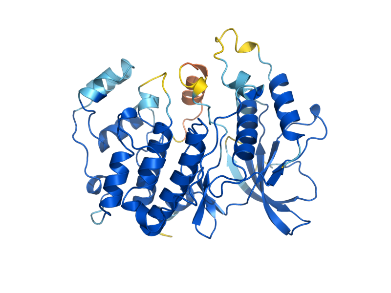 AlphaFold predicted structure of KSS1