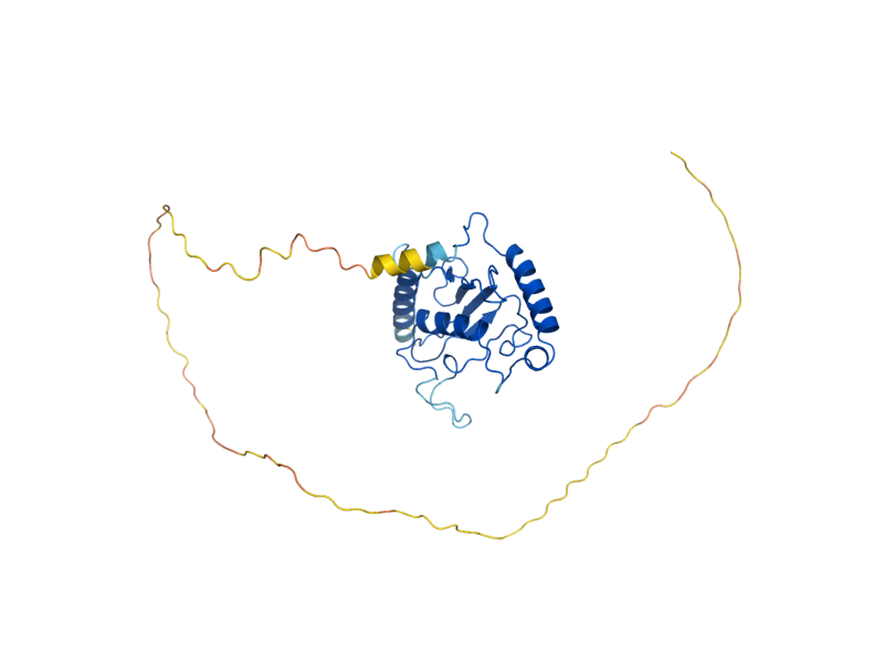AlphaFold predicted structure of CDC34